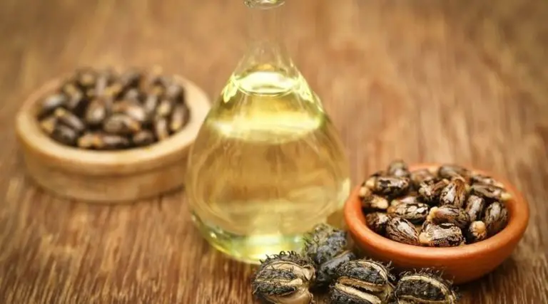 5 Unexpected Benefits of Castor Oil for Hair