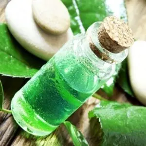 how to use tea tree oil for dandruff treatment