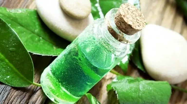5 Ways to use Tea Tree oil for Dandruff Treatment