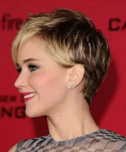 Short hairstyle for party