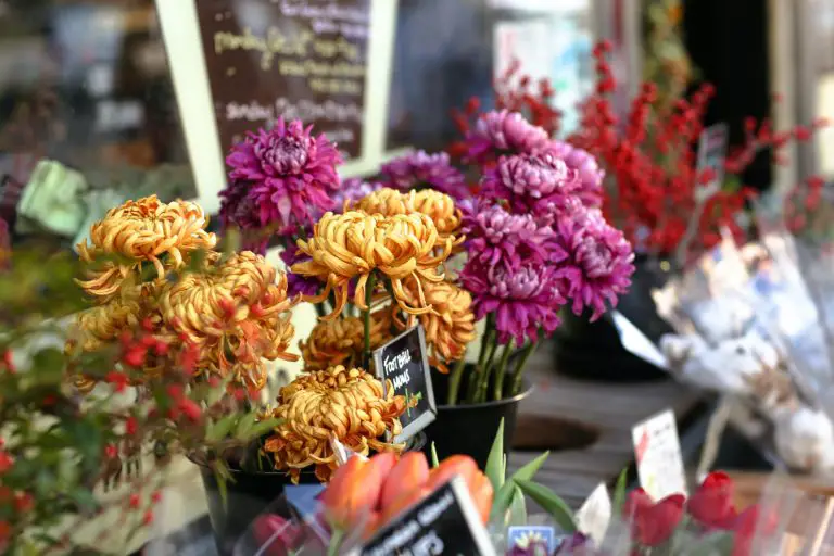 Is it Beneficial to Buy Flowers Online?